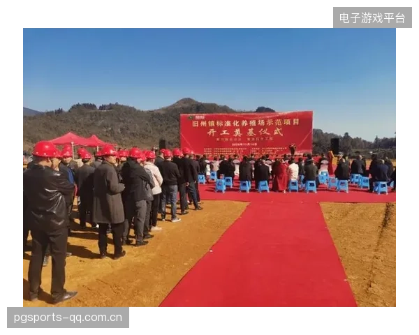 跳水动作标准化推动项目技术进步引关注